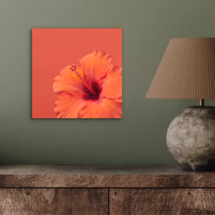 Alu-Dibond-Bild - Blumen – Orange – Natur — 3