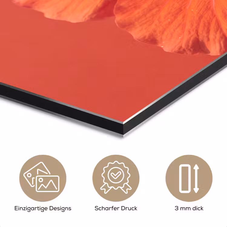 Alu-Dibond-Bild - Blumen – Orange – Natur — 7