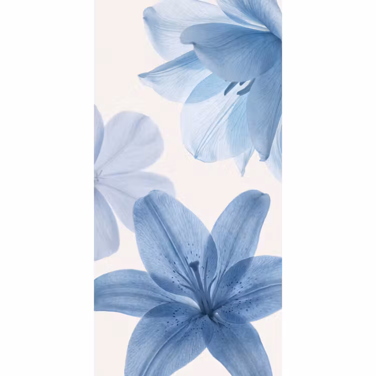 Tapete - Blumen – Transparent – Modern — 2