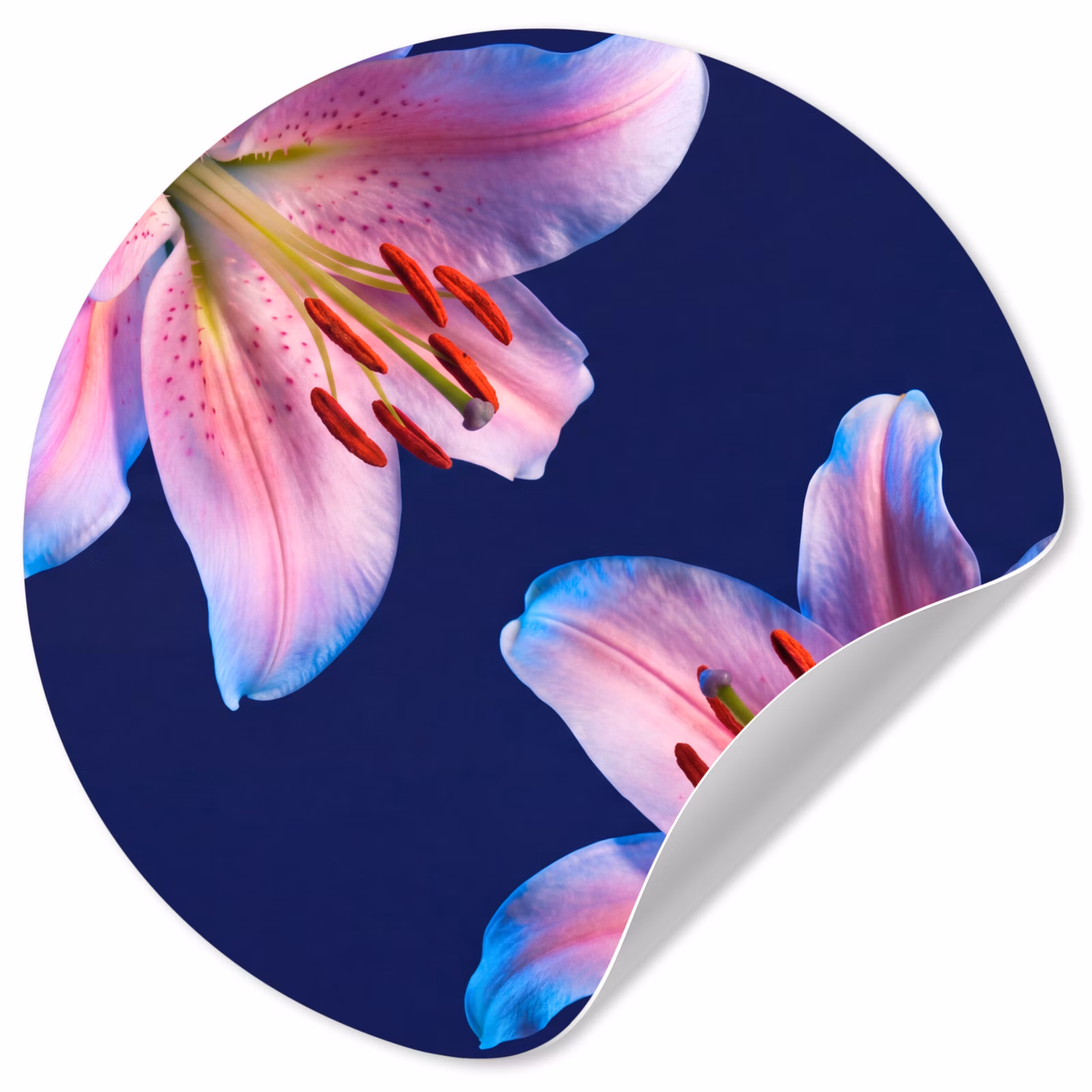 Runde Tapete - Blumen – Farbenfroh – Botanisch — 1