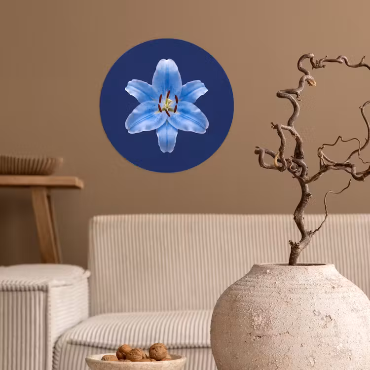 Runde Tapete - Blaue Lilie – Blumen — 2