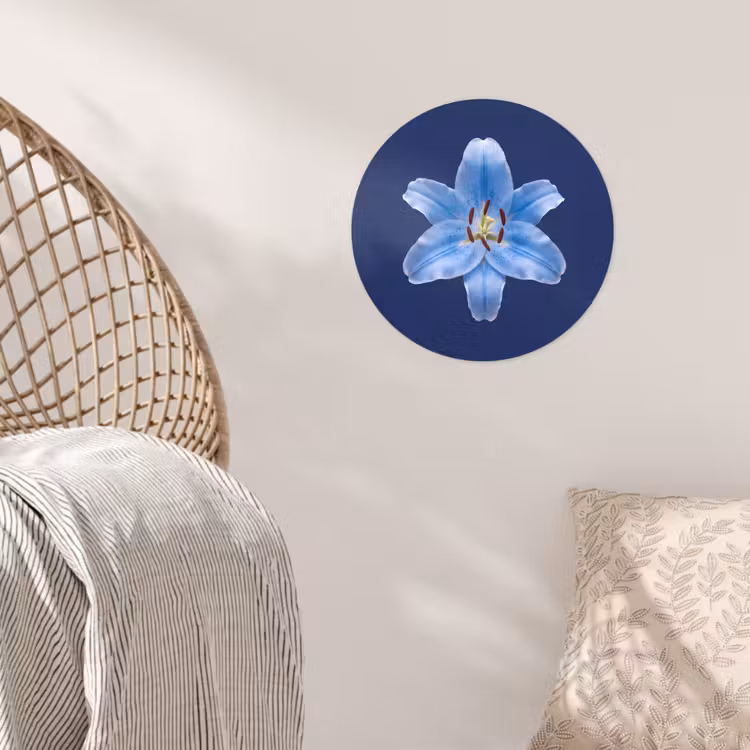 Runde Tapete - Blaue Lilie – Blumen — 5