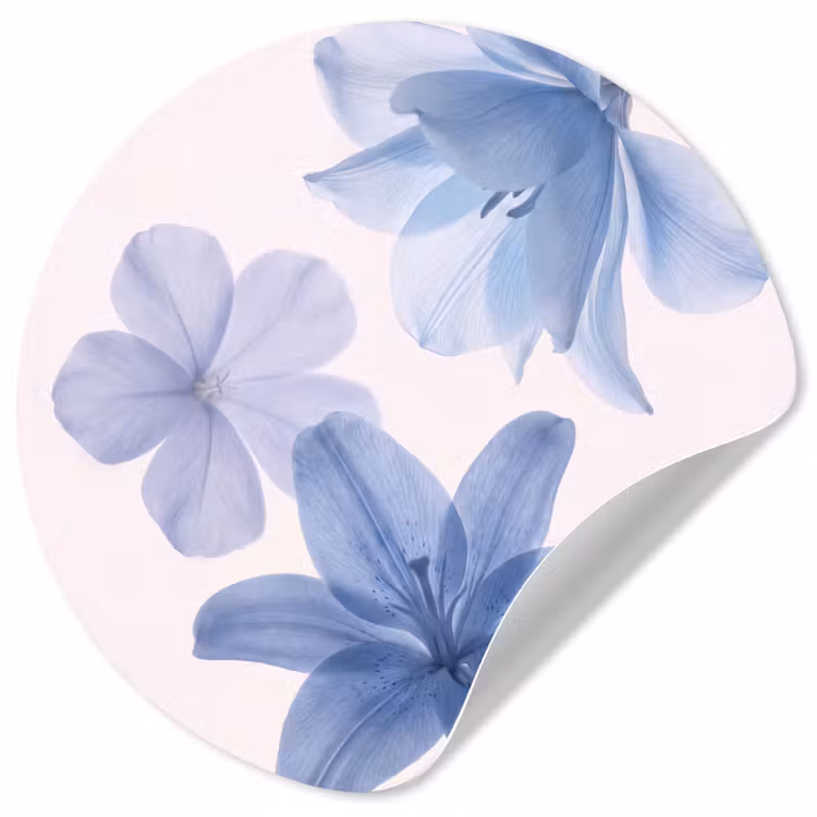Runde Tapete - Blumen – Transparent – Modern — 1