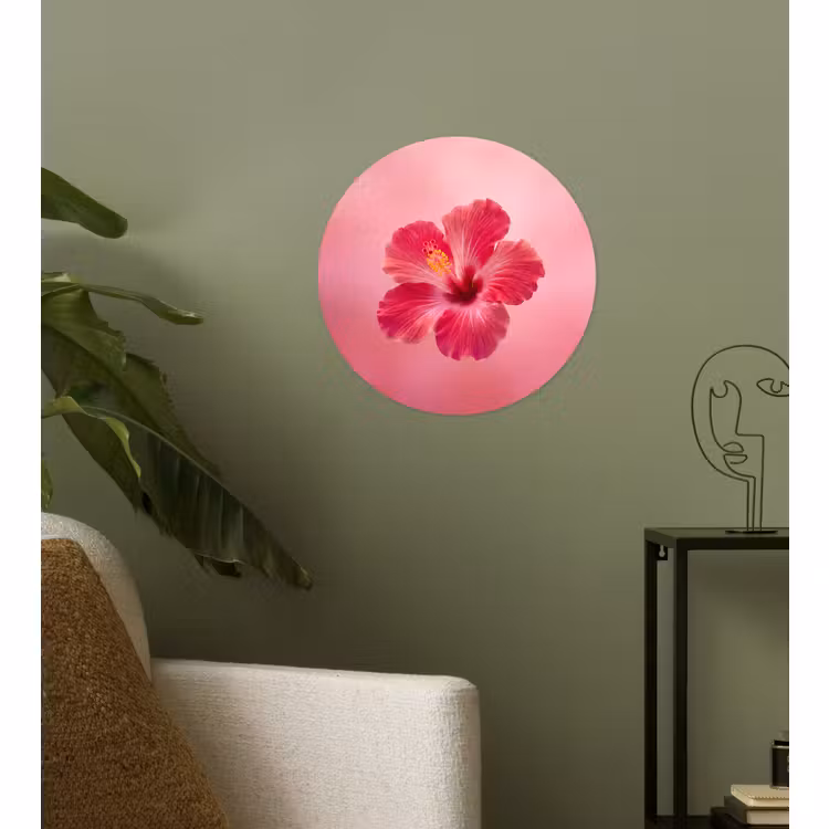 Runde Tapete - Rote Blume – Natur — 3