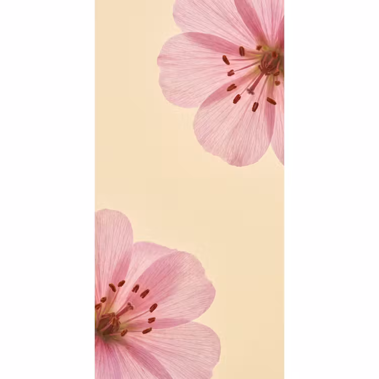 Tapete - Blumen – Flora – Pastell — 2
