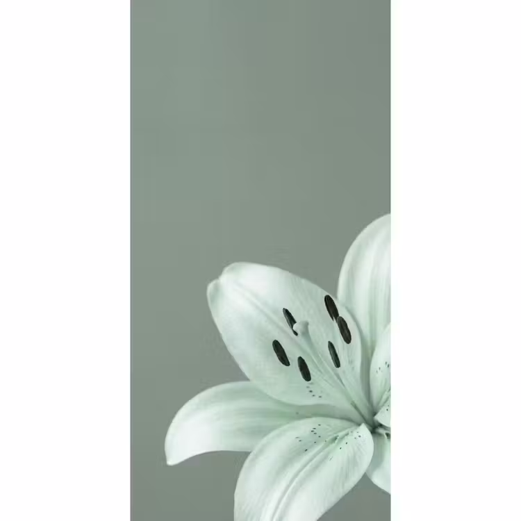 Tapete - Blumen – Natur – Grün — 2