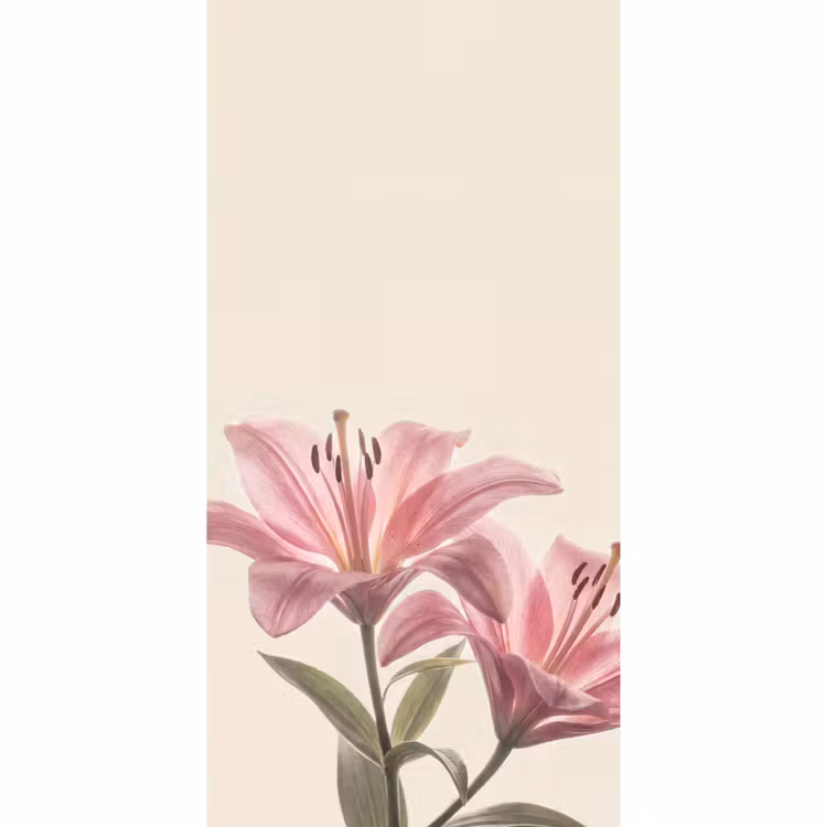 Tapete - Blumen – Zart – Flora — 2