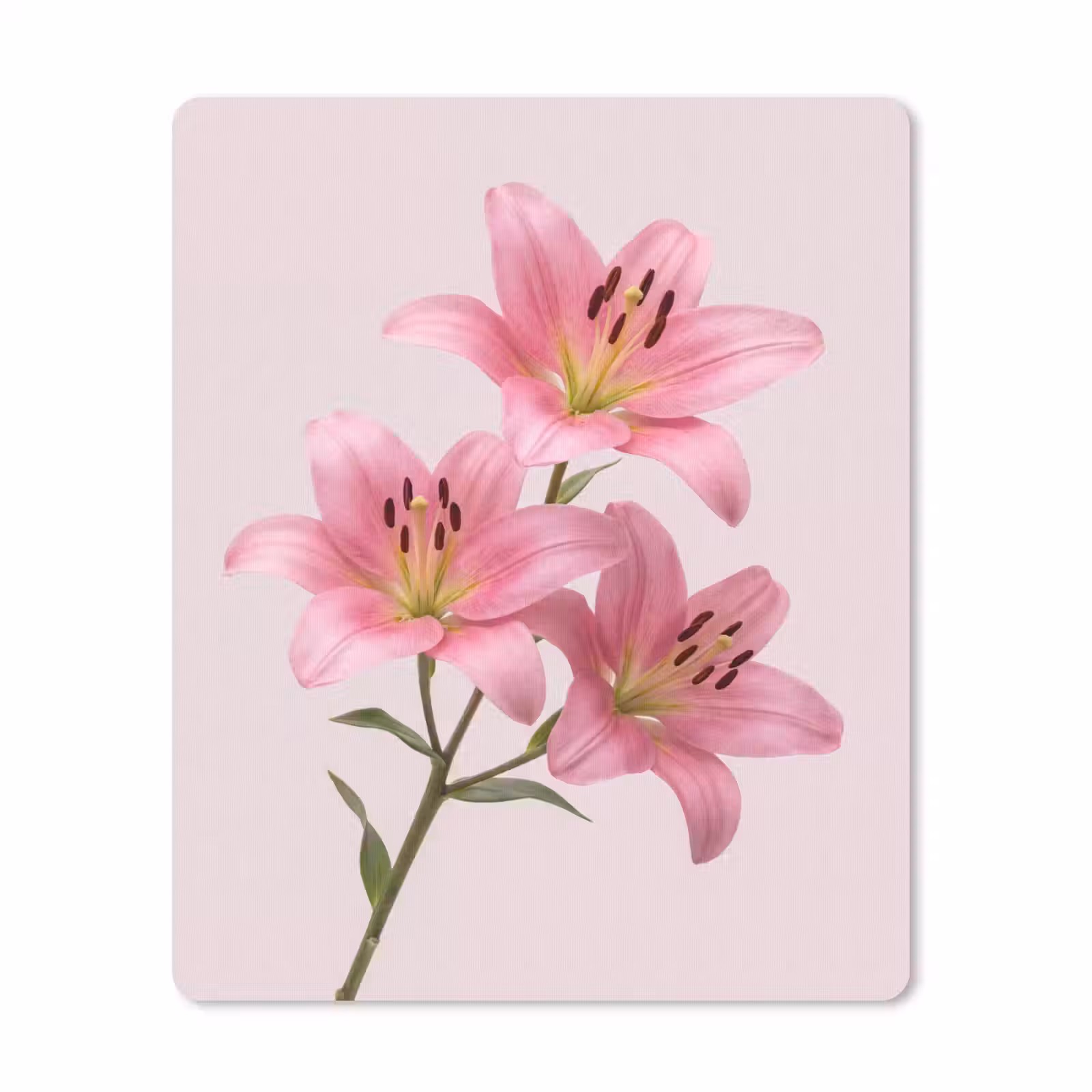 Mauspad - Blumen – Zart – Rosa — 1