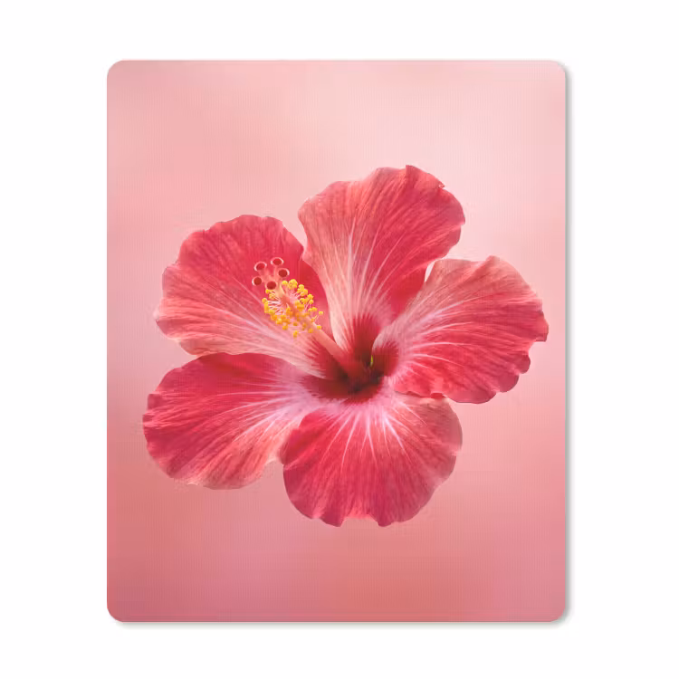 Mauspad - Rote Blume – Natur — 1