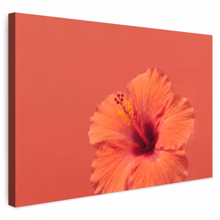 Outdoor Leinwand - Blumen – Orange – Natur — 1