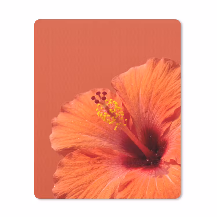 Mauspad - Blumen – Orange – Natur — 1