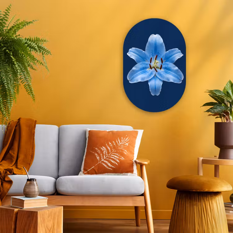 Forexbild Oval - Blaue Lilie – Blumen — 2