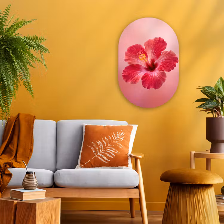 Forexbild Oval - Rote Blume – Natur — 2