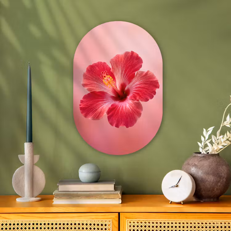 Forexbild Oval - Rote Blume – Natur — 3