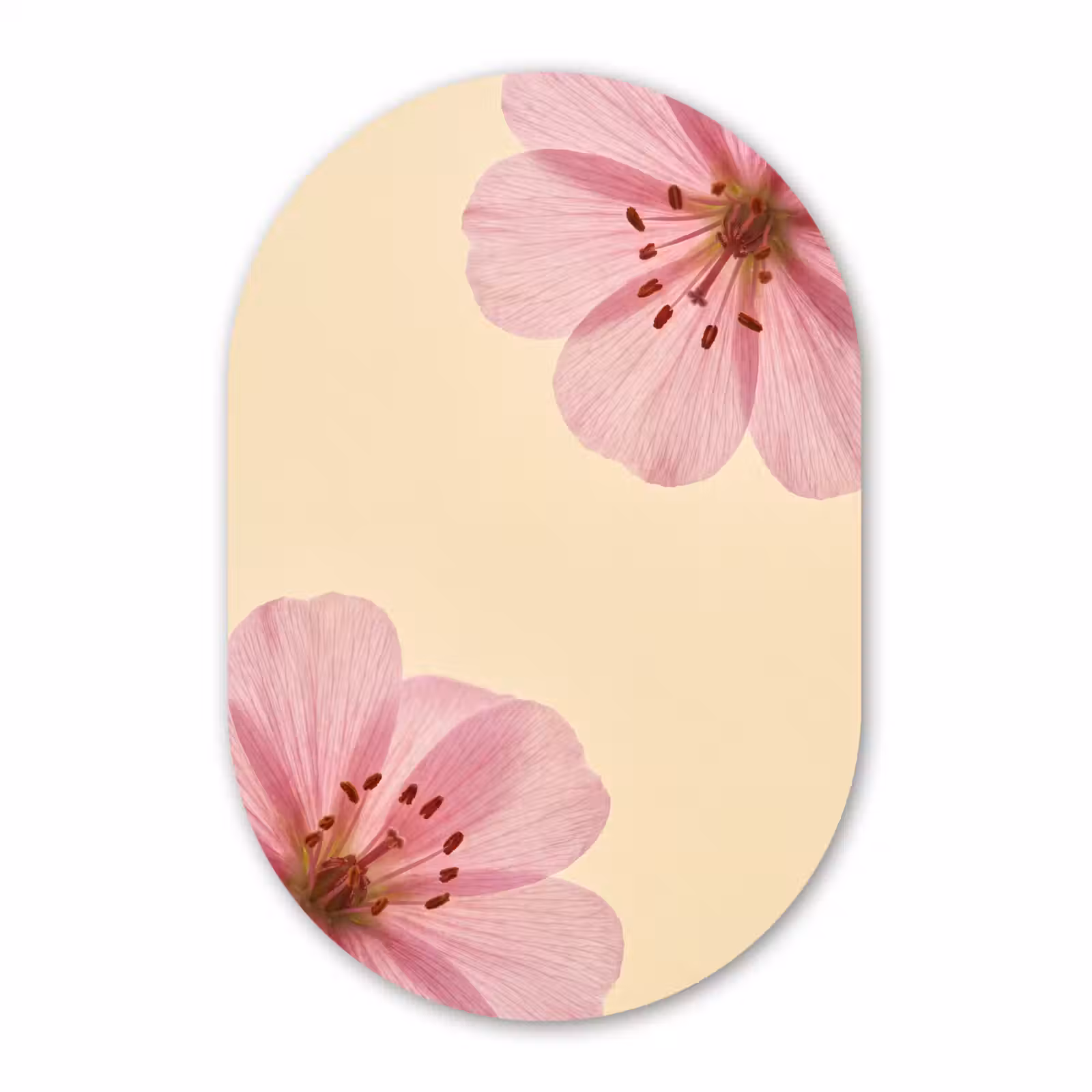 Glasbild Oval - Blumen – Flora – Pastell — 1