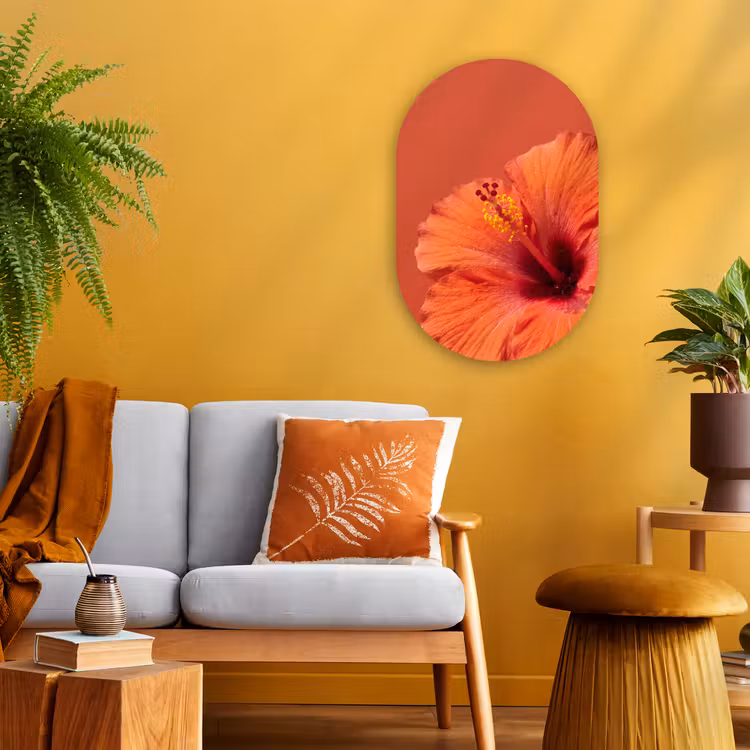 Forexbild Oval - Blumen – Orange – Natur — 2