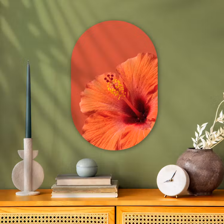 Forexbild Oval - Blumen – Orange – Natur — 3