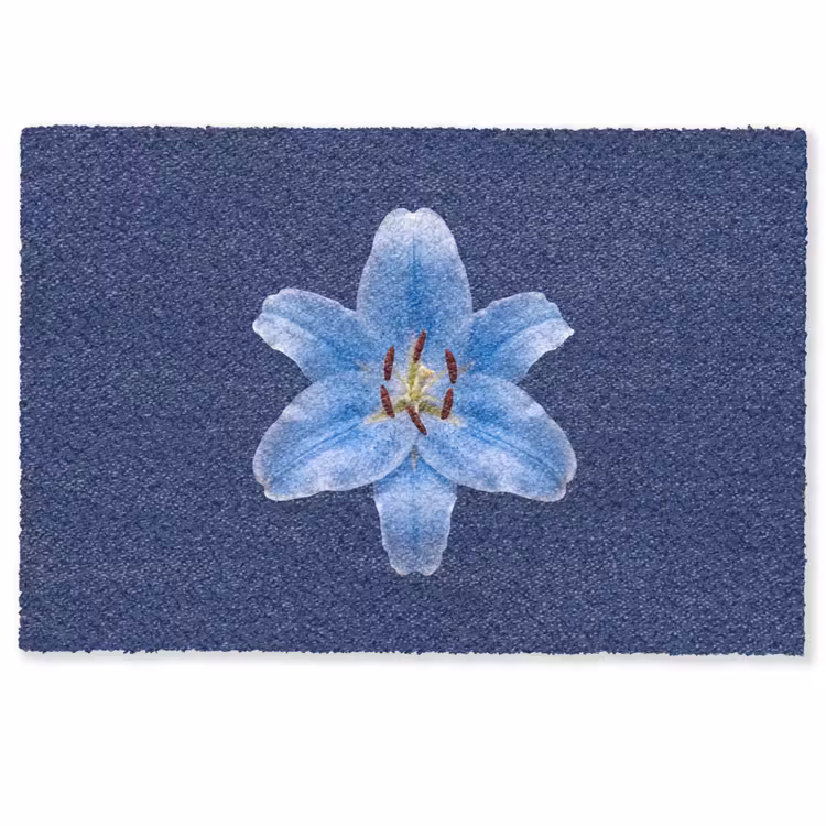 Fußmatte - Blaue Lilie – Blumen — 1