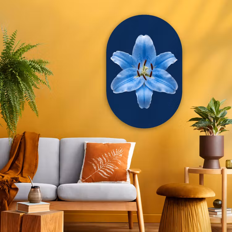Glasbild Oval - Blaue Lilie – Blumen — 3