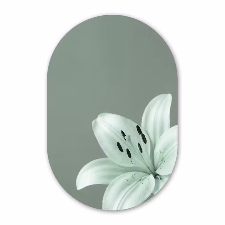 Glasbild Oval - Blumen – Natur – Grün — 1
