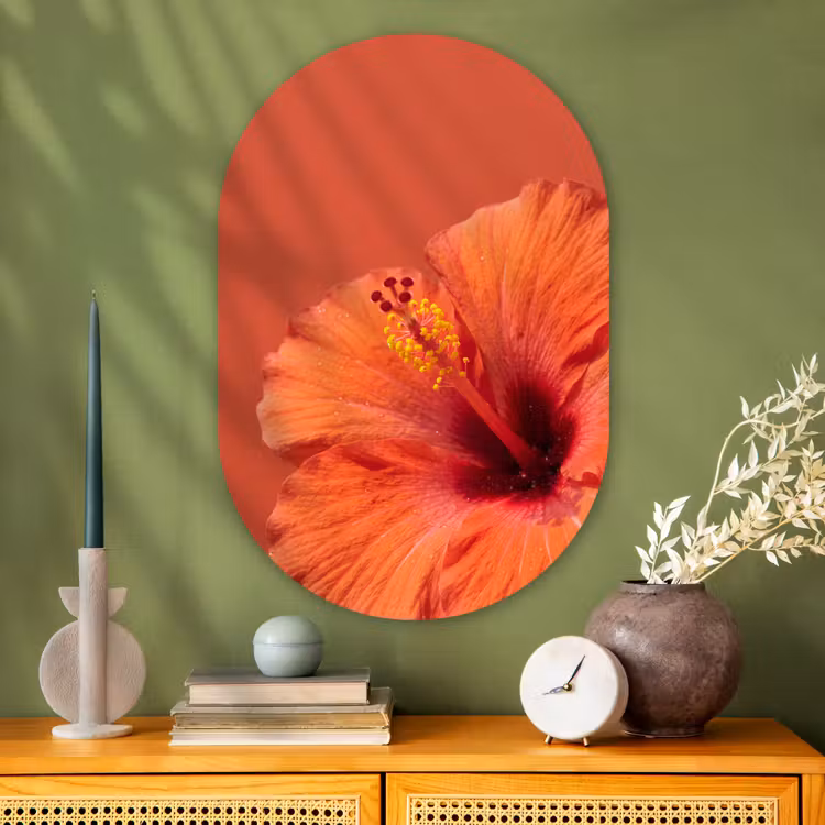 Glasbild Oval - Blumen – Orange – Natur — 2