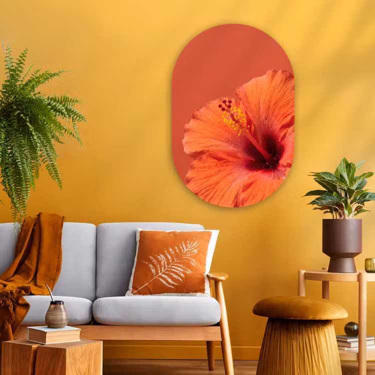 Glasbild Oval - Blumen – Orange – Natur — 3