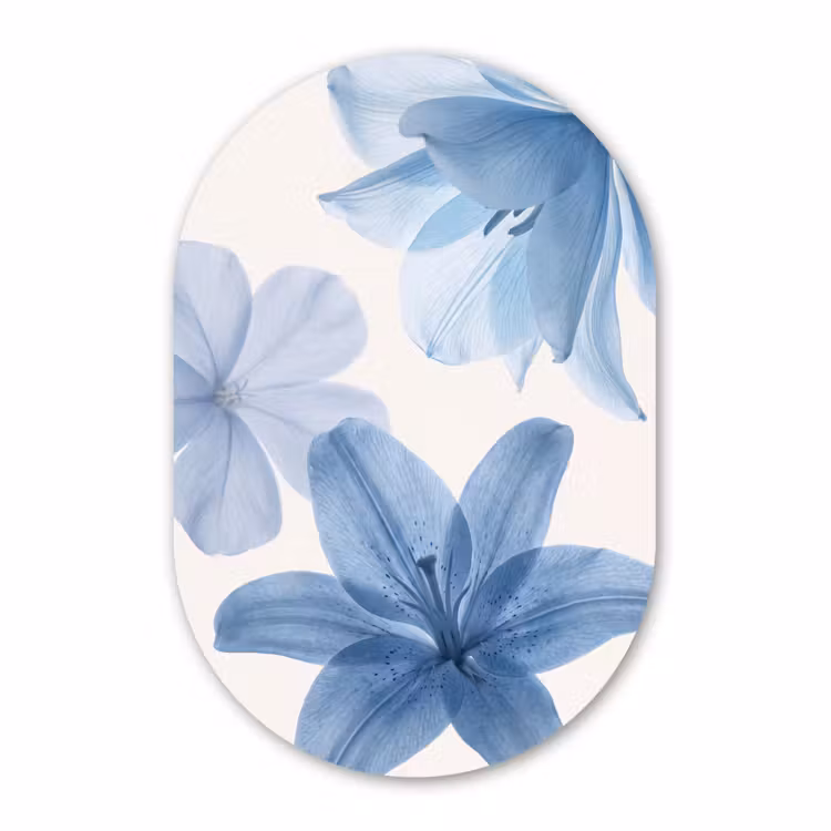 Glasbild Oval - Blumen – Transparent – Modern — 1