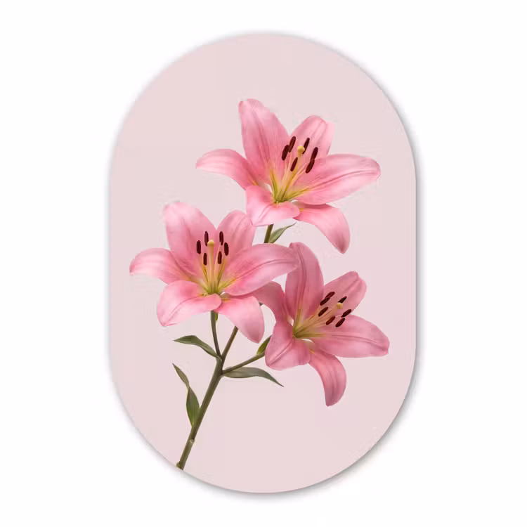 Glasbild Oval - Blumen – Zart – Rosa — 1