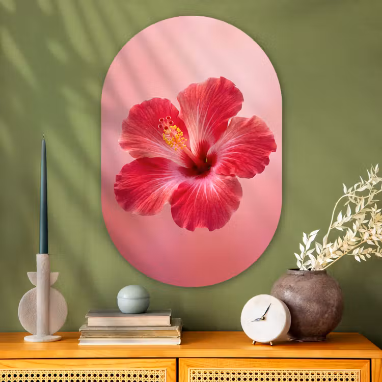 Glasbild Oval - Rote Blume – Natur — 2