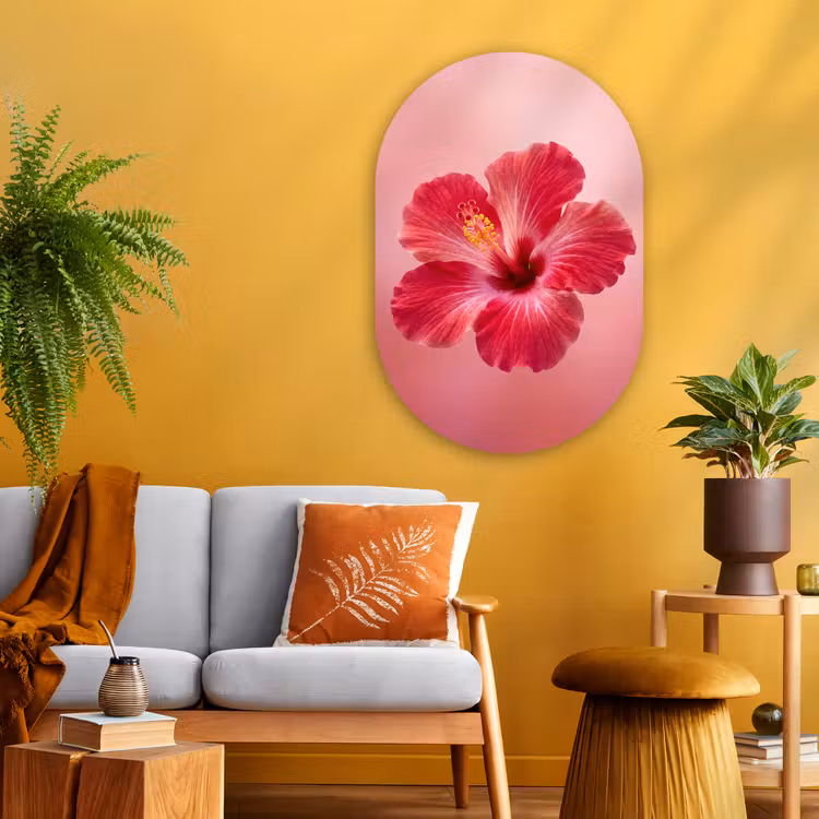 Glasbild Oval - Rote Blume – Natur — 3