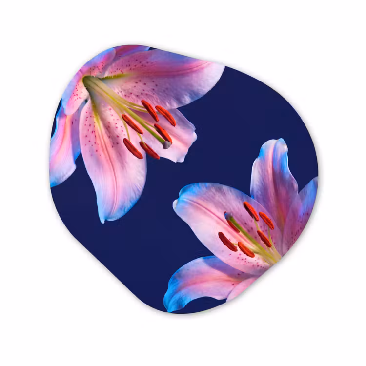 Glasbild Organische Form - Blumen – Farbenfroh – Botanisch — 1