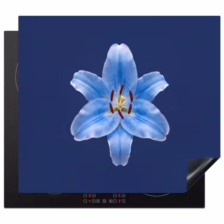Herdabdeckplatte - Blaue Lilie – Blumen — 1
