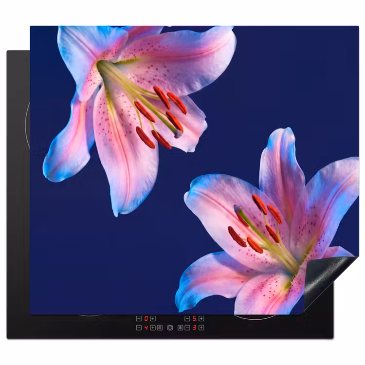 Herdabdeckplatte - Blumen – Farbenfroh – Botanisch — 1