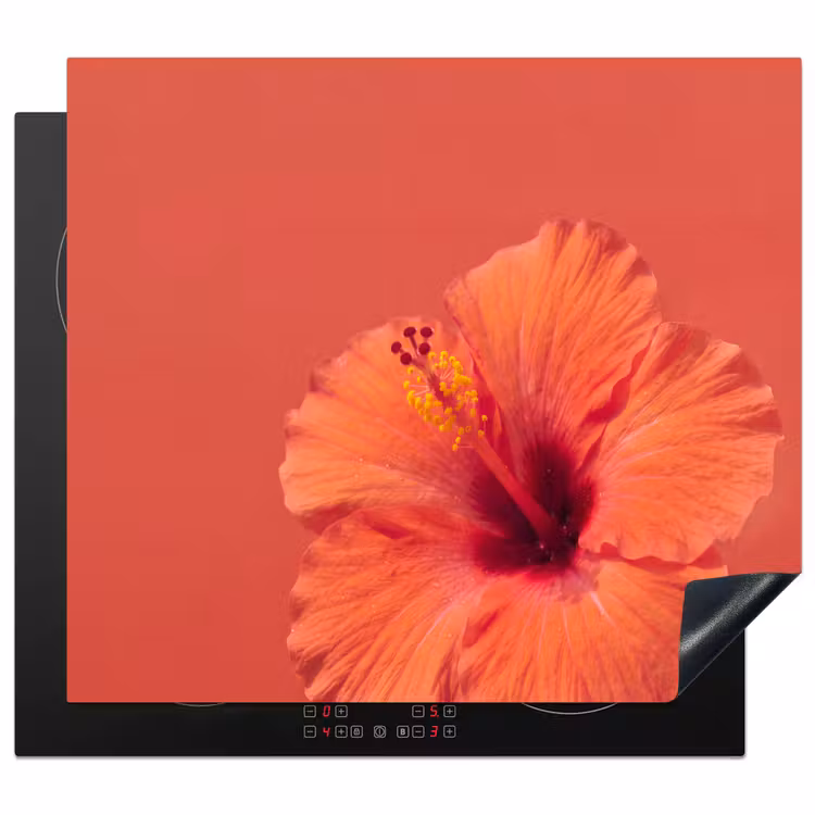 Herdabdeckplatte - Blumen – Orange – Natur — 1