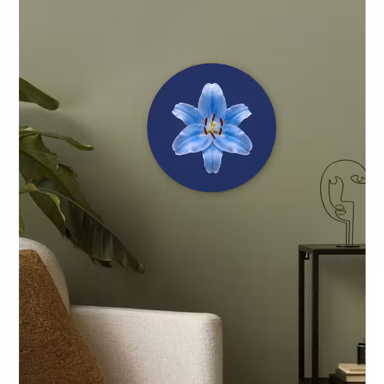 Forexbild Rund - Blaue Lilie – Blumen — 3