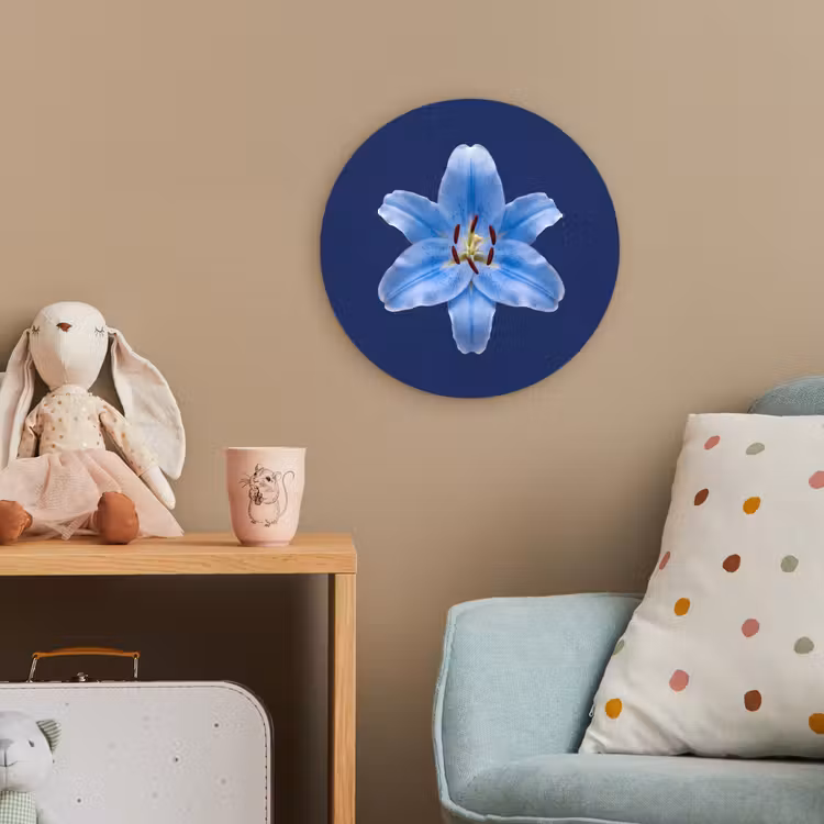 Forexbild Rund - Blaue Lilie – Blumen — 5