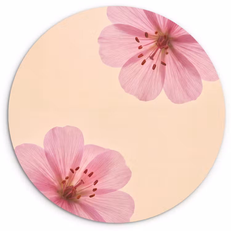 Forexbild Rund - Blumen – Flora – Pastell — 1