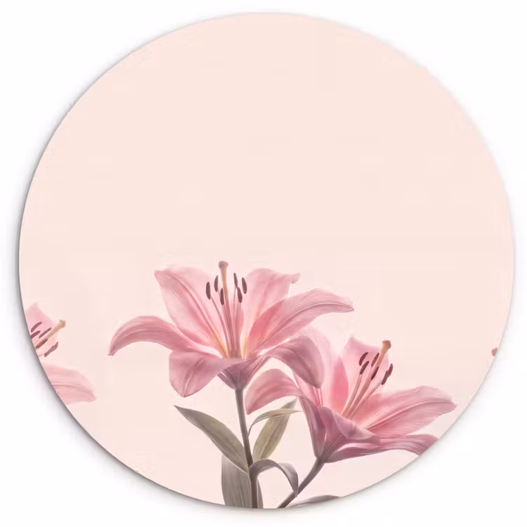 Forexbild Rund - Blumen – Zart – Flora — 1