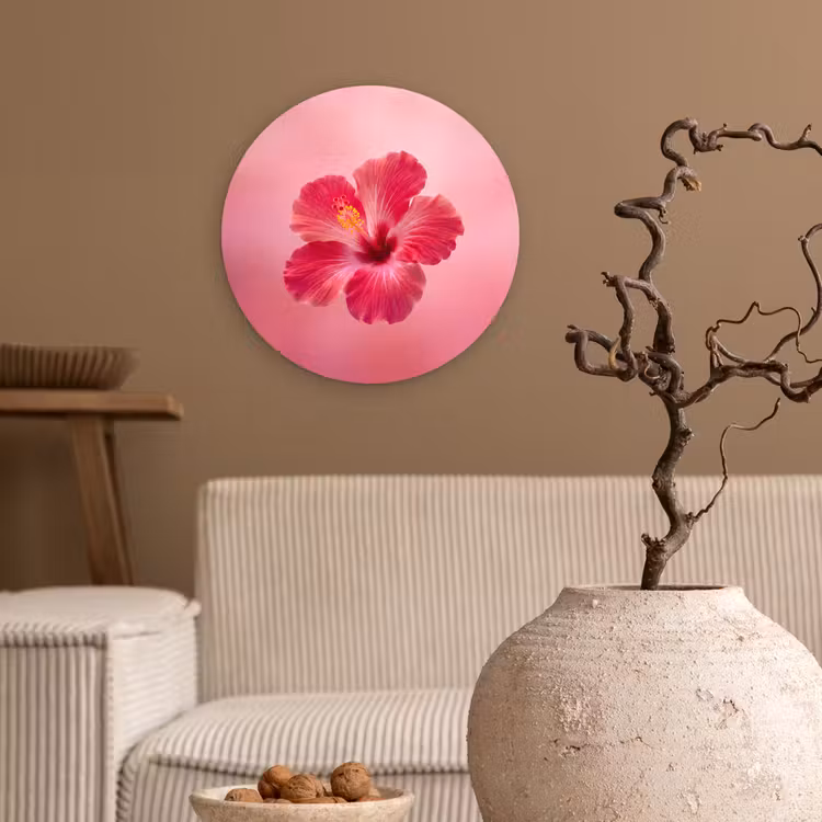 Forexbild Rund - Rote Blume – Natur — 2