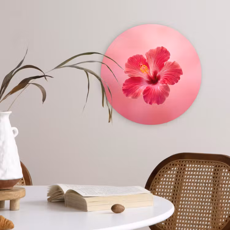 Forexbild Rund - Rote Blume – Natur — 4