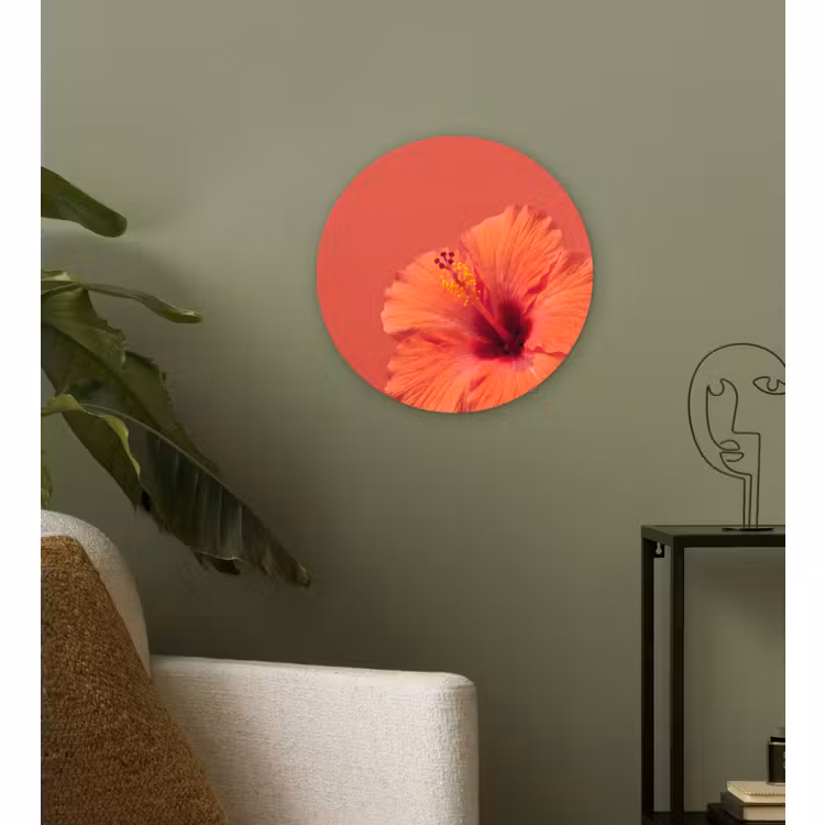 Forexbild Rund - Blumen – Orange – Natur — 3