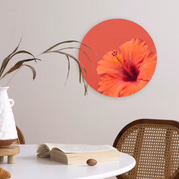 Forexbild Rund - Blumen – Orange – Natur — 4