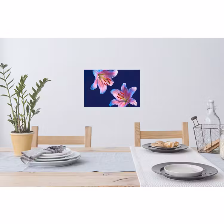 Wandtattoo – Blumen – Farbenfroh – Botanisch — 4