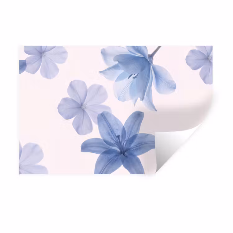 Wandtattoo – Blumen – Transparent – Modern — 1