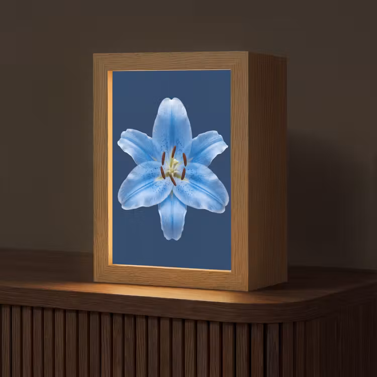 Personalisierte Lightbox - Blaue Lilie – Blumen — 1
