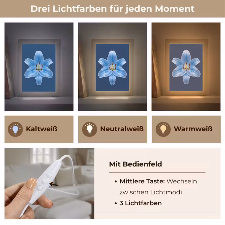 Personalisierte Lightbox - Blaue Lilie – Blumen — 7