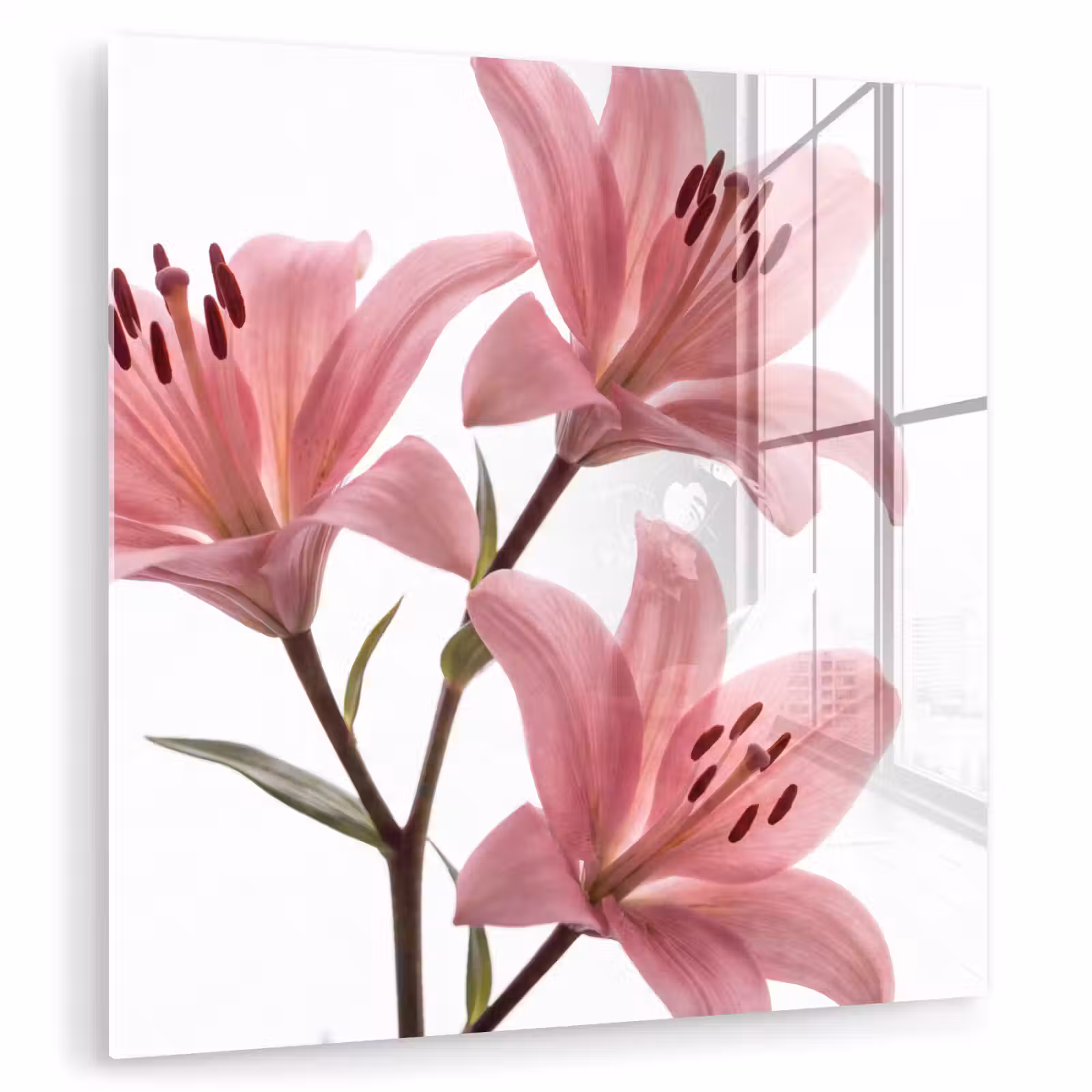 Glasbild - Blumen – Sanft – Modern — 1