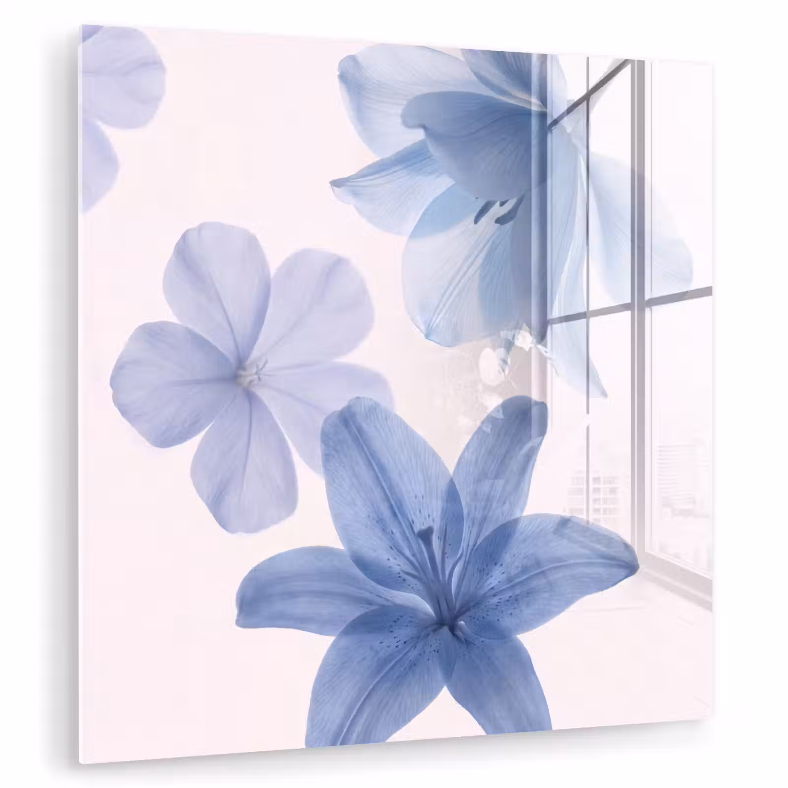 Glasbild - Blumen – Transparent – Modern — 1