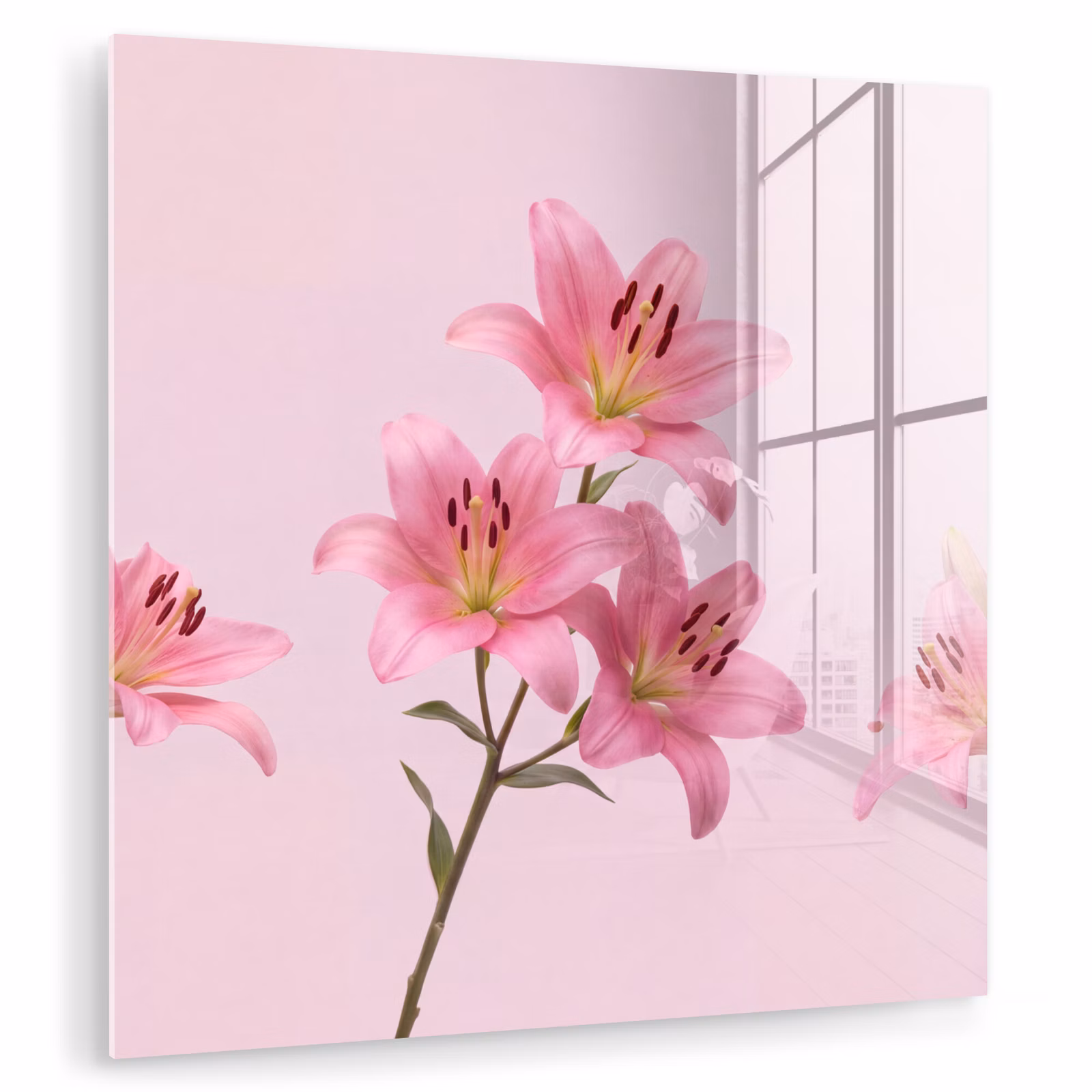Glasbild - Blumen – Zart – Rosa — 1