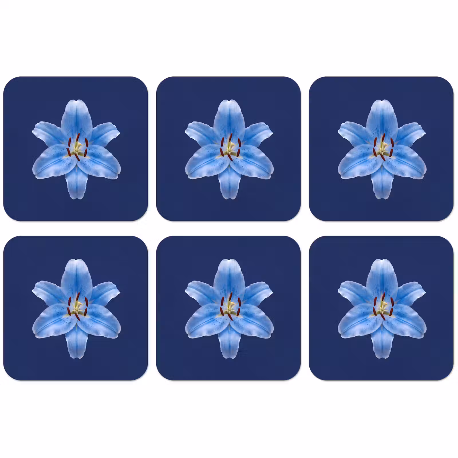 Untersetzer - Blaue Lilie – Blumen — 1